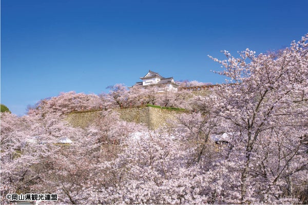<岡山>津山城・鶴山公園と備前焼登り窯ご見学【明石・西神中央・緑が丘出発】1